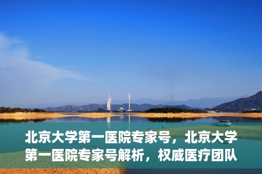 北京大学第一医院专家号，北京大学第一医院专家号解析，权威医疗团队的专业解读与诊疗之道