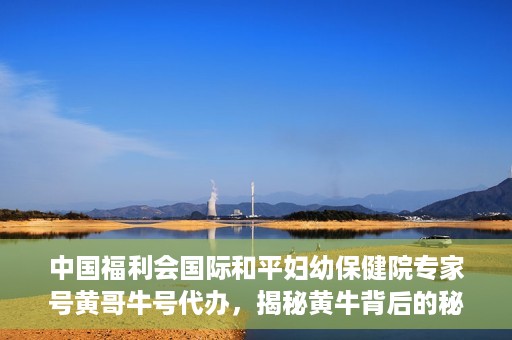 中国福利会国际和平妇幼保健院专家号黄哥牛号代办，揭秘黄牛背后的秘密，中国福利会国际和平妇幼保健院专家号代办乱象解探