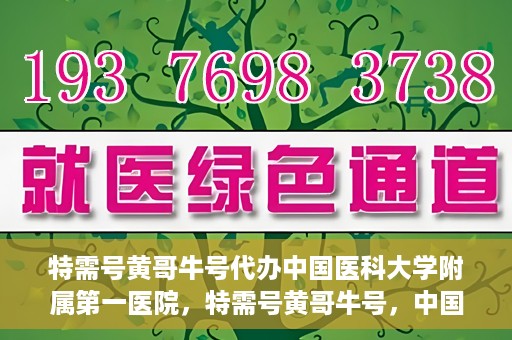 特需号黄哥牛号代办中国医科大学附属第一医院，特需号黄哥牛号，中国医科大学附属第一医院代办服务详解