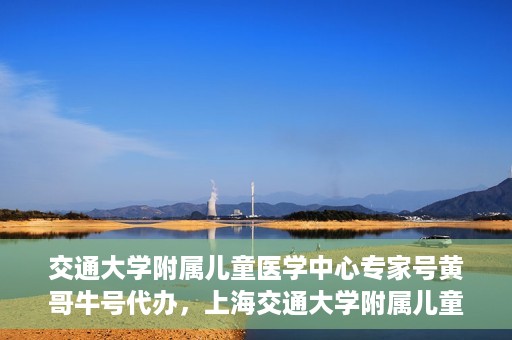 交通大学附属儿童医学中心专家号黄哥牛号代办，上海交通大学附属儿童医学中心专家号代办服务，黄哥牛号助您轻松预约专家号