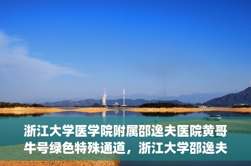 浙江大学医学院附属邵逸夫医院黄哥牛号绿色特殊通道，浙江大学邵逸夫医院绿色特殊通道，黄哥牛号引领医疗新风尚