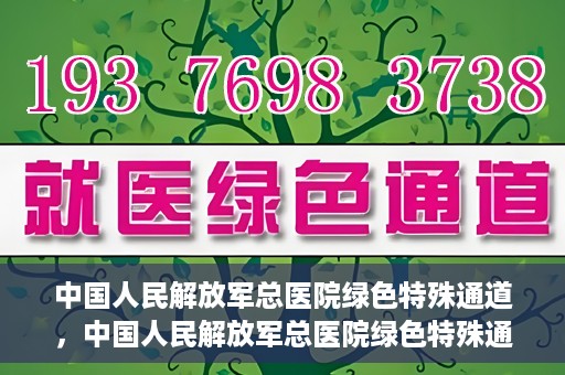 中国人民解放军总医院绿色特殊通道，中国人民解放军总医院绿色特殊通道，医疗服务的紧急通道与人文关怀的完美结合