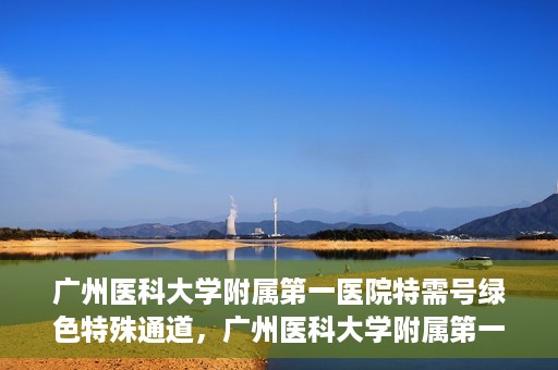 广州医科大学附属第一医院特需号绿色特殊通道，广州医科大学附属第一医院特需号绿色通道，优质医疗服务的快速通道