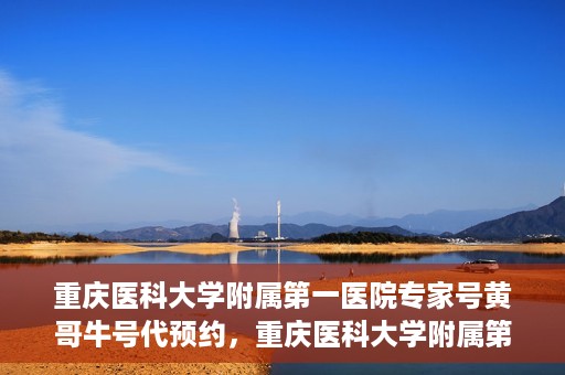 重庆医科大学附属第一医院专家号黄哥牛号代预约，重庆医科大学附属第一医院专家号预约服务解析，黄哥牛号预约攻略揭秘