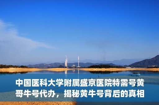 中国医科大学附属盛京医院特需号黄哥牛号代办，揭秘黄牛号背后的真相，盛京医院特需号代办乱象解析