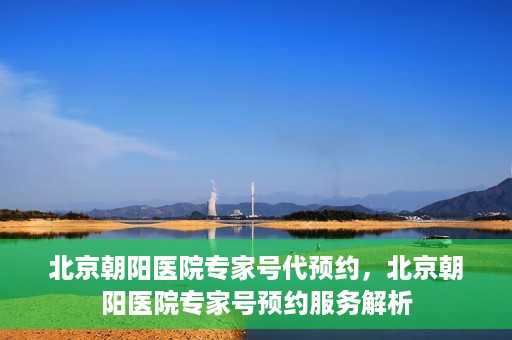 北京朝阳医院专家号代预约，北京朝阳医院专家号预约服务解析