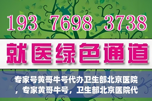 专家号黄哥牛号代办卫生部北京医院，专家黄哥牛号，卫生部北京医院代办服务解析
