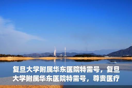 复旦大学附属华东医院特需号，复旦大学附属华东医院特需号，尊贵医疗体验，个性化健康守护
