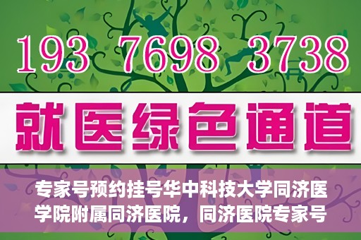 专家号预约挂号华中科技大学同济医学院附属同济医院，同济医院专家号预约挂号攻略，深度解析华中科技大学同济医学院附属同济医院医疗服务