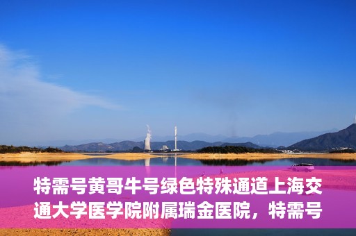 特需号黄哥牛号绿色特殊通道上海交通大学医学院附属瑞金医院，特需号黄哥牛号，瑞金医院的绿色特殊通道探索