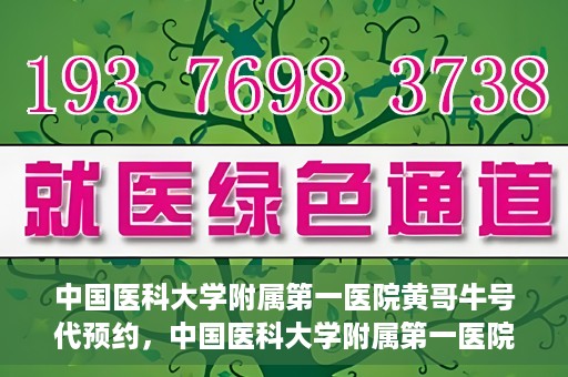 中国医科大学附属第一医院黄哥牛号代预约，中国医科大学附属第一医院黄哥牛号预约服务详解