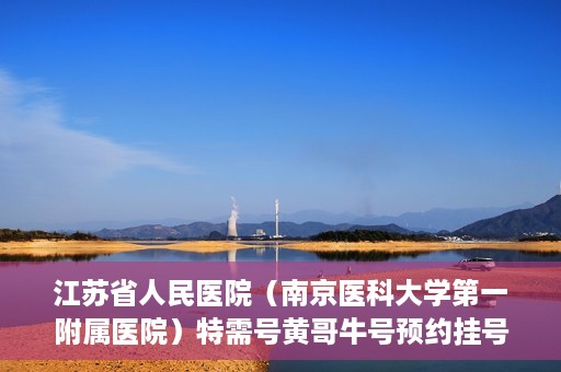 江苏省人民医院（南京医科大学第一附属医院）特需号黄哥牛号预约挂号，江苏省人民医院特需号黄哥牛号预约挂号攻略