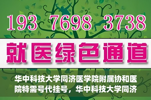 华中科技大学同济医学院附属协和医院特需号代挂号，华中科技大学同济医学院附属协和医院特需号源代挂号服务解析