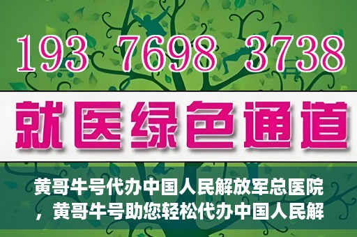 黄哥牛号代办中国人民解放军总医院，黄哥牛号助您轻松代办中国人民解放军总医院业务手续