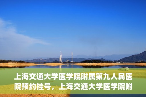 上海交通大学医学院附属第九人民医院预约挂号，上海交通大学医学院附属第九人民医院预约挂号指南，轻松挂号，便捷就医新体验