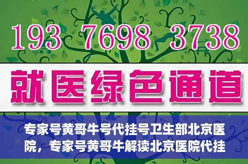 专家号黄哥牛号代挂号卫生部北京医院，专家号黄哥牛解读北京医院代挂号新政，卫生部权威解读与深度剖析