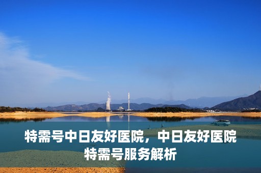 特需号中日友好医院，中日友好医院特需号服务解析