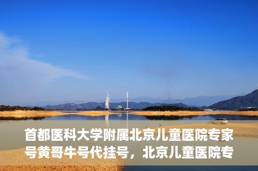 首都医科大学附属北京儿童医院专家号黄哥牛号代挂号，北京儿童医院专家黄哥牛号代挂号解析，专业医疗服务的深度解读