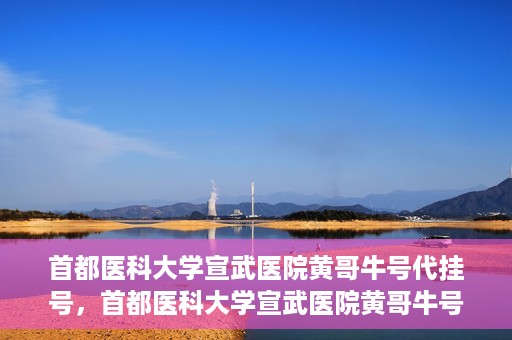 首都医科大学宣武医院黄哥牛号代挂号，首都医科大学宣武医院黄哥牛号助您轻松预约挂号