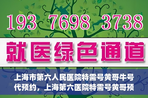 上海市第六人民医院特需号黄哥牛号代预约，上海第六医院特需号黄哥预约服务解析，专业代预约，便捷就医新选择