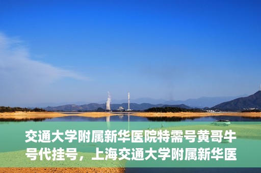 交通大学附属新华医院特需号黄哥牛号代挂号，上海交通大学附属新华医院特需号代挂号服务解析——黄哥牛号代挂号攻略