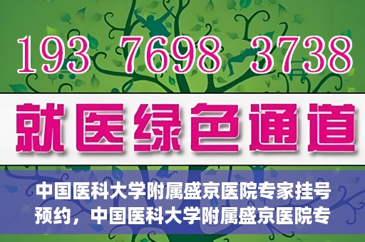 中国医科大学附属盛京医院专家挂号预约，中国医科大学附属盛京医院专家挂号预约攻略，一站式预约服务解析