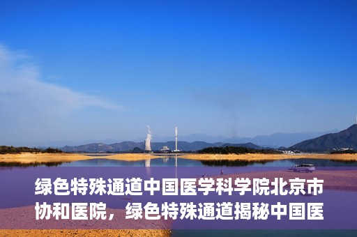 绿色特殊通道中国医学科学院北京市协和医院，绿色特殊通道揭秘中国医学科学院北京市协和医院的力量与担当