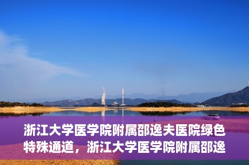 浙江大学医学院附属邵逸夫医院绿色特殊通道，浙江大学医学院附属邵逸夫医院绿色特殊通道，高效医疗服务的创新实践