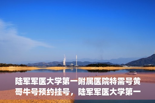 陆军军医大学第一附属医院特需号黄哥牛号预约挂号，陆军军医大学第一附属医院特需号预约挂号攻略，黄哥牛号助你轻松就医