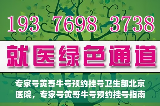 专家号黄哥牛号预约挂号卫生部北京医院，专家号黄哥牛号预约挂号指南，北京医院卫生部挂号攻略