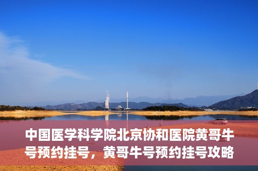 中国医学科学院北京协和医院黄哥牛号预约挂号，黄哥牛号预约挂号攻略，中国医学科学院北京协和医院就医指南