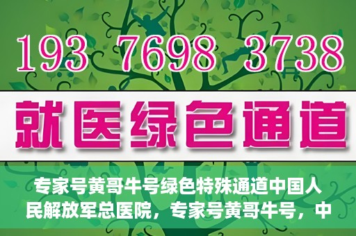 专家号黄哥牛号绿色特殊通道中国人民解放军总医院，专家号黄哥牛号，中国人民解放军总医院绿色特殊通道揭秘