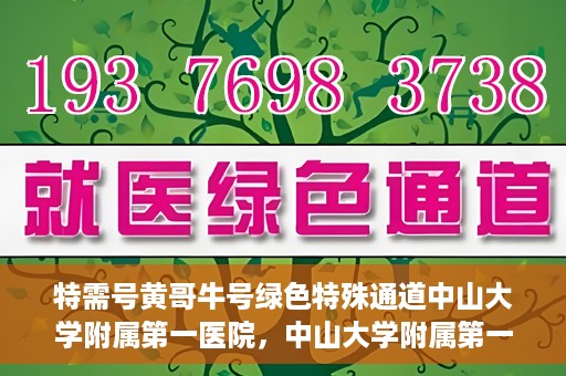 特需号黄哥牛号绿色特殊通道中山大学附属第一医院，中山大学附属第一医院特需号黄哥牛号绿色特殊通道揭秘