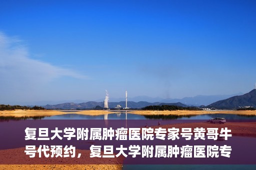 复旦大学附属肿瘤医院专家号黄哥牛号代预约，复旦大学附属肿瘤医院专家号预约服务黄哥牛号代预约服务解析
