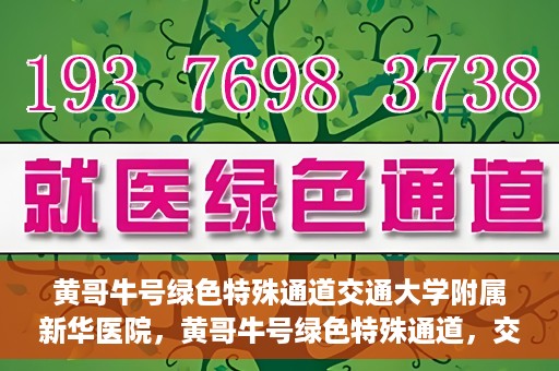 黄哥牛号绿色特殊通道交通大学附属新华医院，黄哥牛号绿色特殊通道，交通大学附属新华医院的探索与实践
