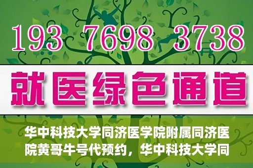华中科技大学同济医学院附属同济医院黄哥牛号代预约，华中科技大学同济医院黄哥牛号预约服务解析