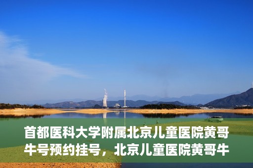 首都医科大学附属北京儿童医院黄哥牛号预约挂号，北京儿童医院黄哥牛号预约挂号攻略，轻松挂号，无忧就医体验