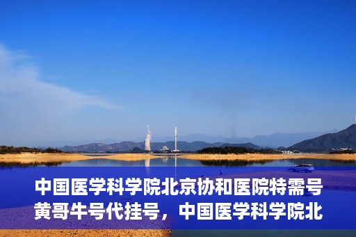 中国医学科学院北京协和医院特需号黄哥牛号代挂号，中国医学科学院北京协和医院特需号黄哥牛号代挂号服务解析