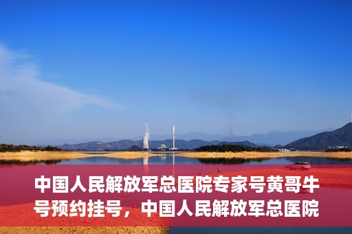 中国人民解放军总医院专家号黄哥牛号预约挂号，中国人民解放军总医院黄哥牛号专家号预约挂号攻略