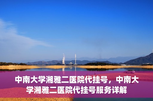 中南大学湘雅二医院代挂号，中南大学湘雅二医院代挂号服务详解