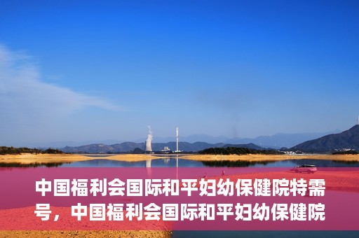 中国福利会国际和平妇幼保健院特需号，中国福利会国际和平妇幼保健院特需服务号，专业呵护母婴健康之选