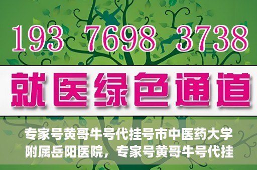 专家号黄哥牛号代挂号市中医药大学附属岳阳医院，专家号黄哥牛号代挂号服务在岳阳医院，深度解读与预约指南