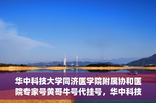 华中科技大学同济医学院附属协和医院专家号黄哥牛号代挂号，华中科技大学同济医学院附属协和医院专家号代挂号揭秘，黄哥牛号背后的故事
