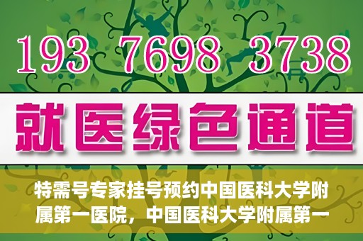 特需号专家挂号预约中国医科大学附属第一医院，中国医科大学附属第一医院特需专家挂号预约指南