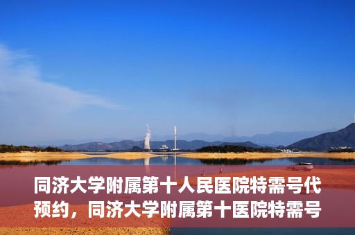 同济大学附属第十人民医院特需号代预约，同济大学附属第十医院特需号预约服务详解
