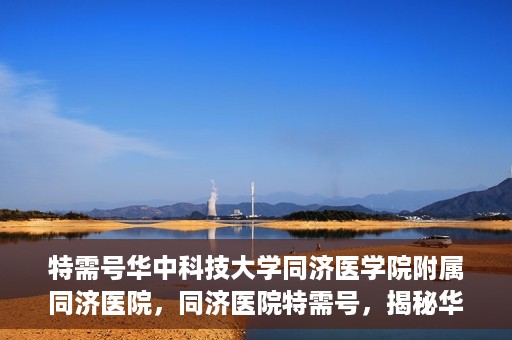 特需号华中科技大学同济医学院附属同济医院，同济医院特需号，揭秘华中科技大学同济医学院附属医院的特色服务与医疗特色