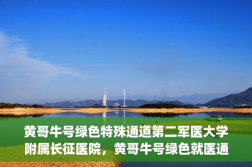 黄哥牛号绿色特殊通道第二军医大学附属长征医院，黄哥牛号绿色就医通道，第二军医大学附属长征医院的特殊通道探索