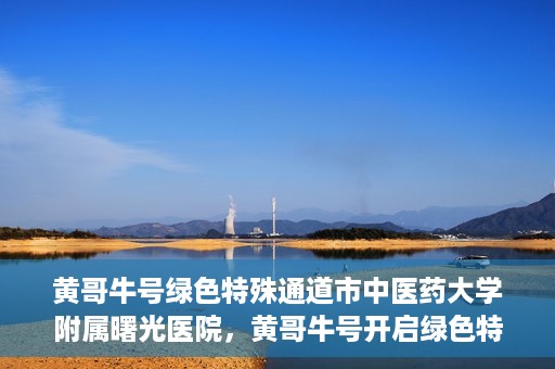 黄哥牛号绿色特殊通道市中医药大学附属曙光医院，黄哥牛号开启绿色特殊通道，市中医药大学附属曙光医院倾力打造健康新篇章