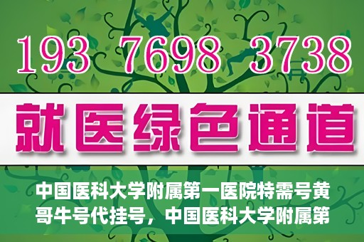 中国医科大学附属第一医院特需号黄哥牛号代挂号，中国医科大学附属第一医院特需号黄哥牛号代挂号服务解析