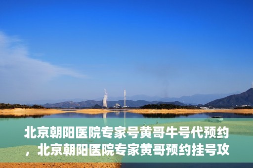 北京朝阳医院专家号黄哥牛号代预约，北京朝阳医院专家黄哥预约挂号攻略，轻松预约专家号